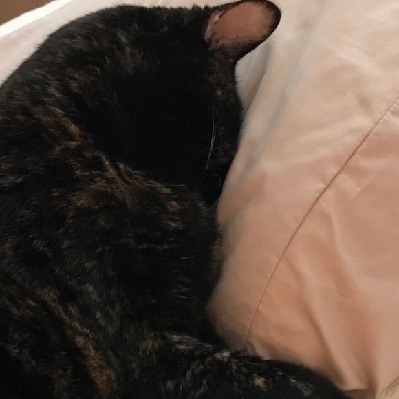 Meet your Posher, Deborah - Picture 1 of 1